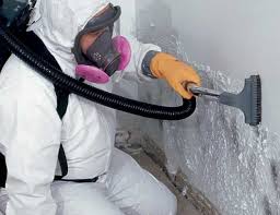 Environmental Consulting for Mold Prevention